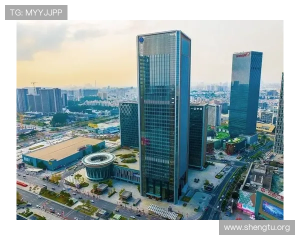 分析万博集团的所有权性质：国企身份还是私营企业身份的深度剖析